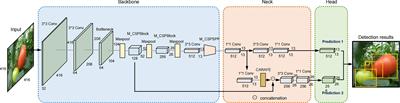 An efficient tomato-detection method based on improved YOLOv4-tiny model in complex environment